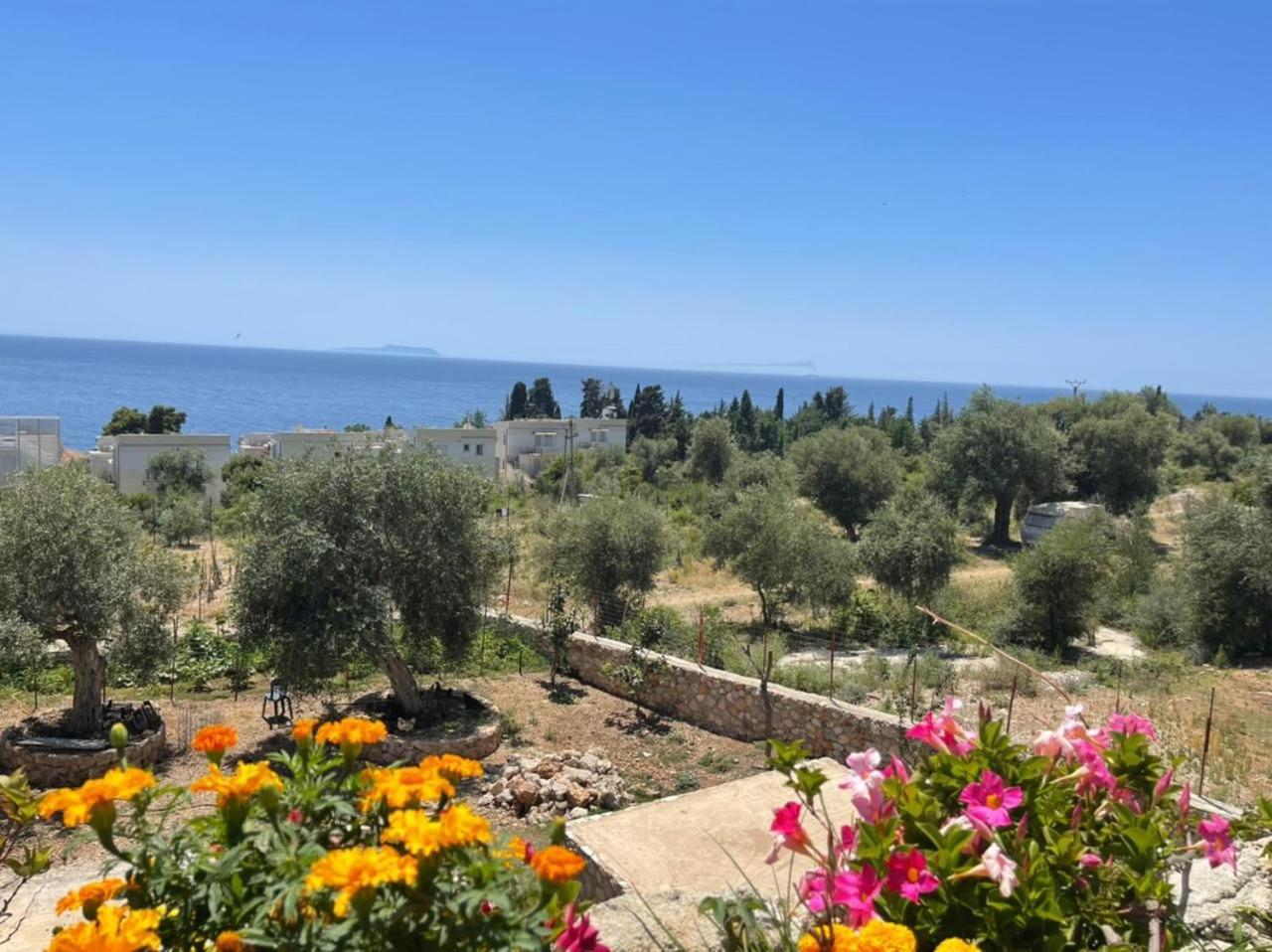 Gasthof Rose Dhërmi